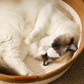 Panier Cocon Tressé pour Chat