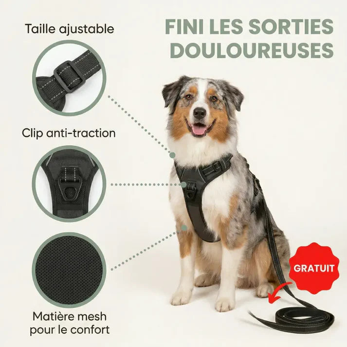 Harnais Anti-Traction Luppy